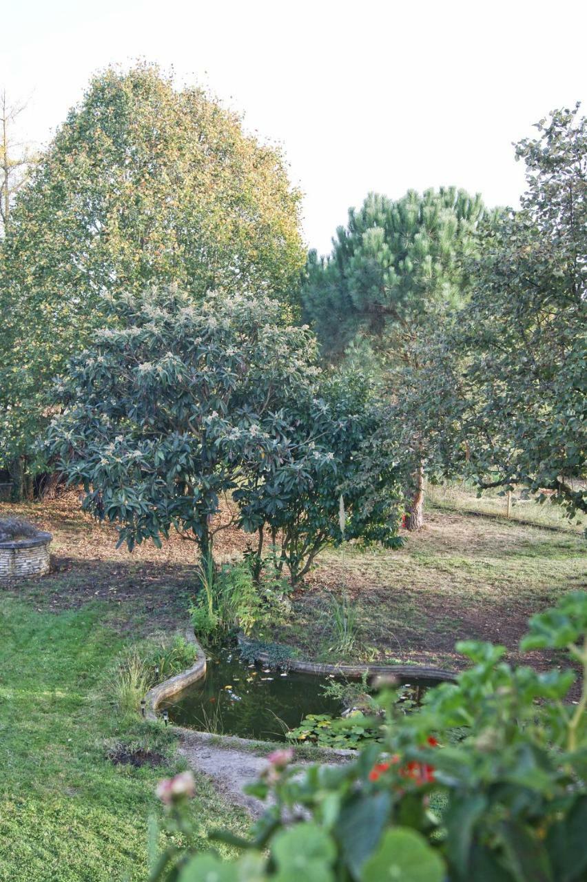 Le Grenier De Louisette Libourne Exterior photo